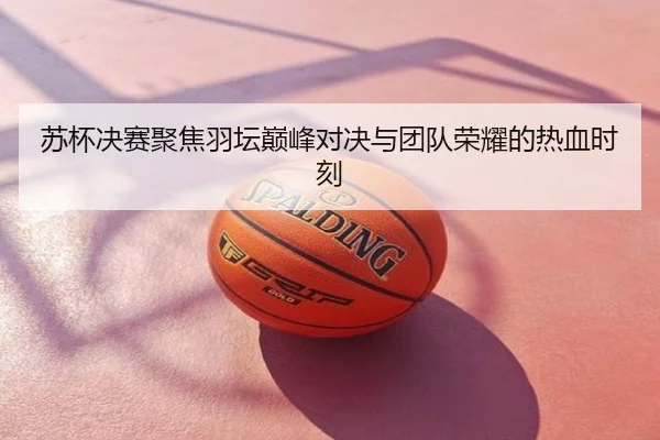 苏杯决赛聚焦羽坛巅峰对决与团队荣耀的热血时刻